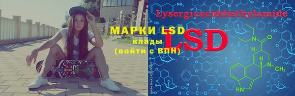 дмт Елизово