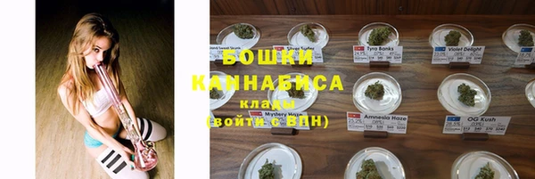 PSILOCYBIN Михайловск