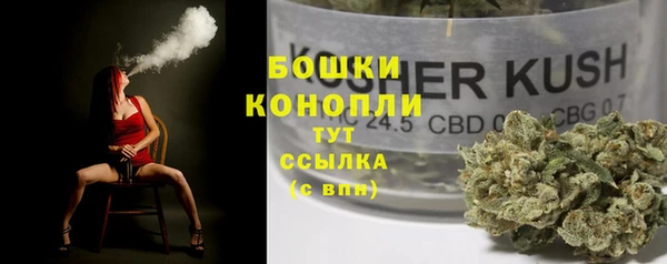 Альфа ПВП Медногорск