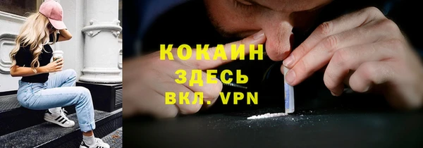 дмт Елизово