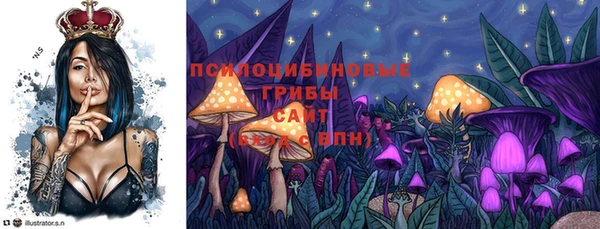 PSILOCYBIN Михайловск