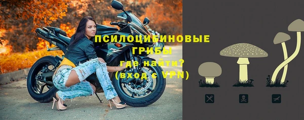 Альфа ПВП Медногорск
