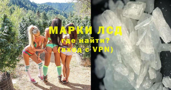 амф Дмитриев