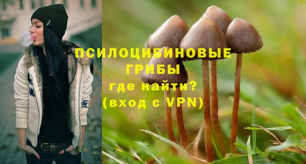 дмт Елизово